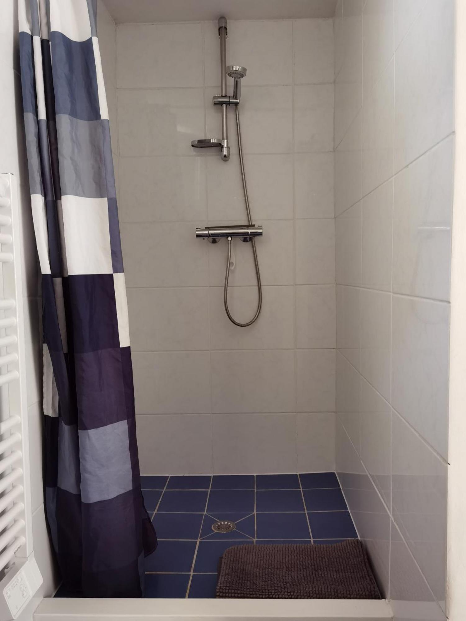 Les Camelias Apartment Le Mont-Dore Bagian luar foto