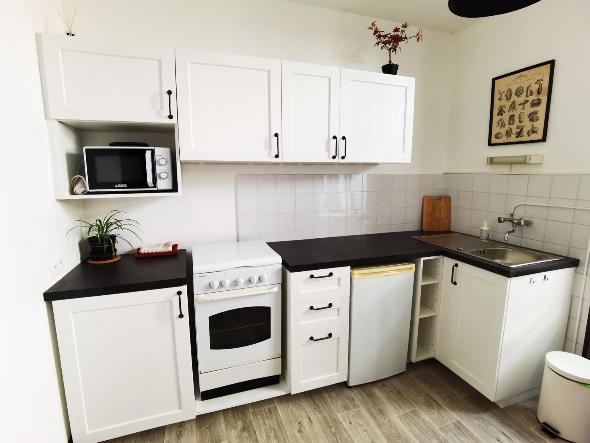 Les Camelias Apartment Le Mont-Dore Bagian luar foto