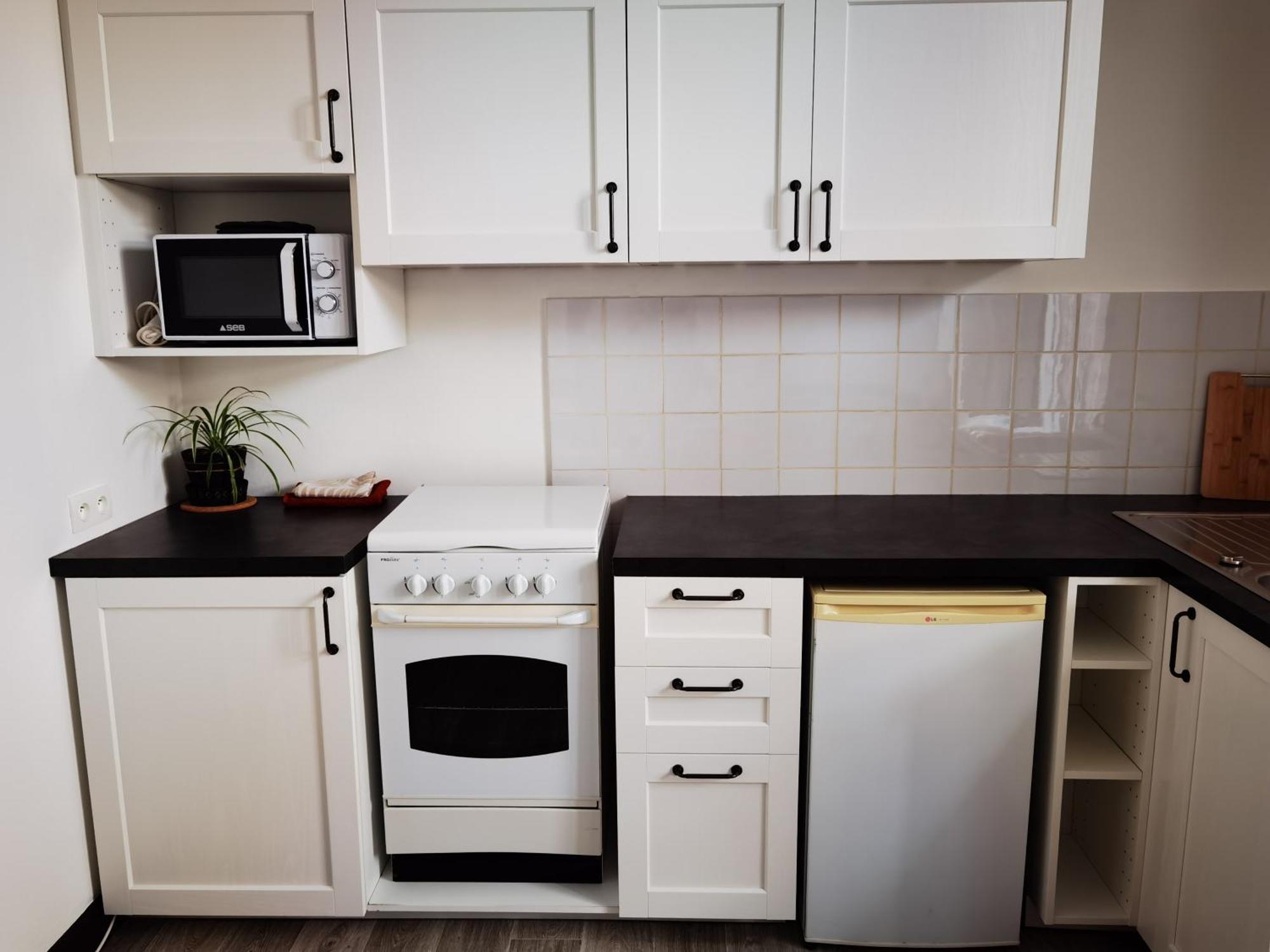 Les Camelias Apartment Le Mont-Dore Bagian luar foto